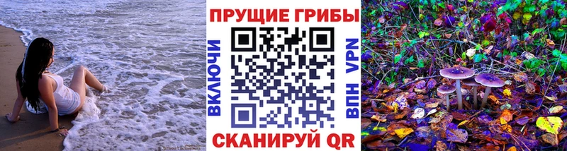Галлюциногенные грибы Magic Shrooms  Купить закладки  Богородицк 